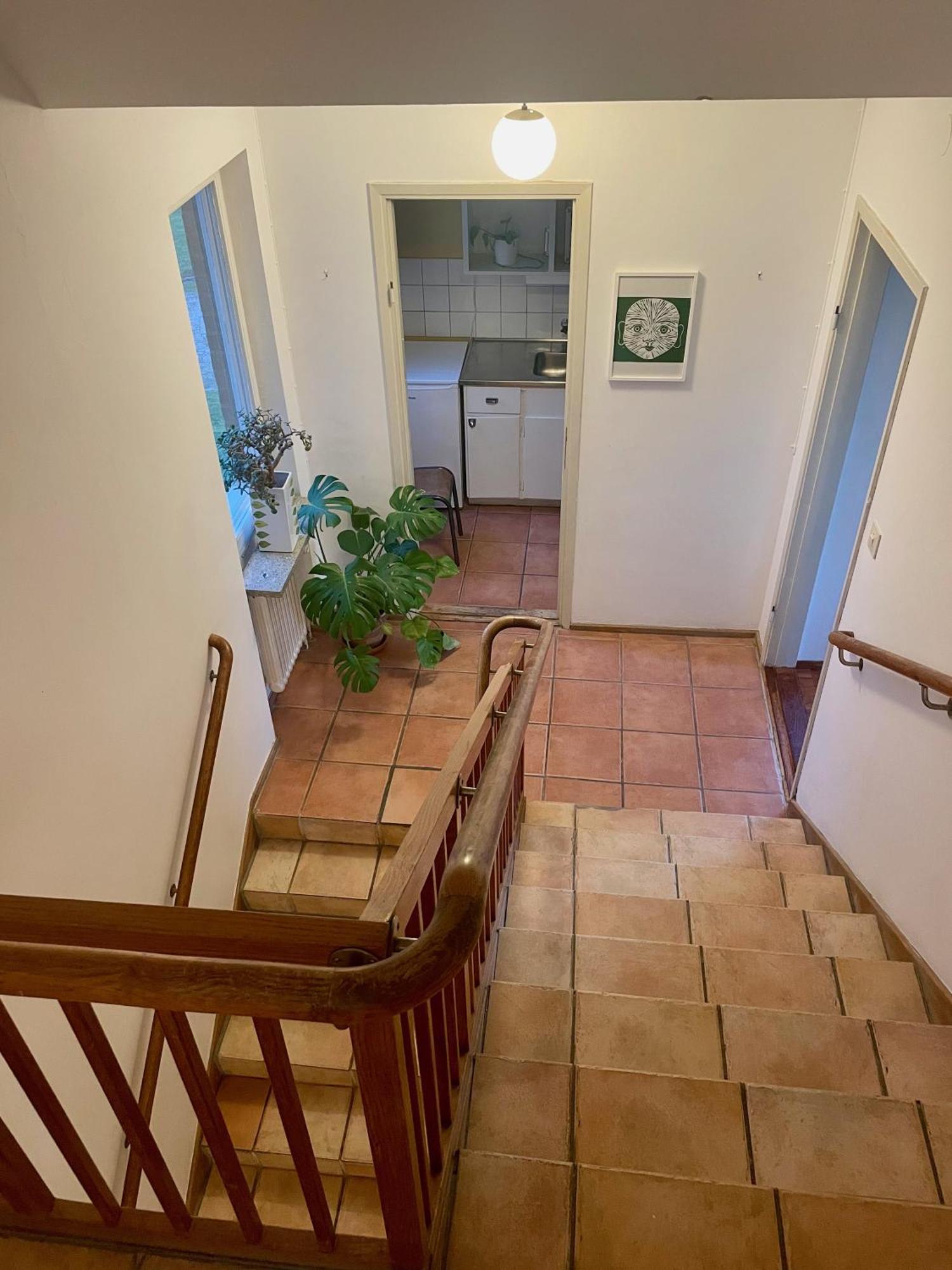 Hemmet Simrishamns Vandrarhem Och B&B Экстерьер фото